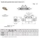 HYDRAULISCHES doppelt gesteuertes Rückschlagventil 1/4"