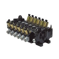   P70CF-05-HU41-005A Hydraulikventil für Seres 2-Hebel-Containeraufbau